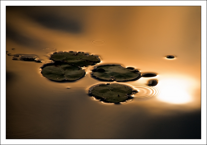 Clicca per l'immagine full size