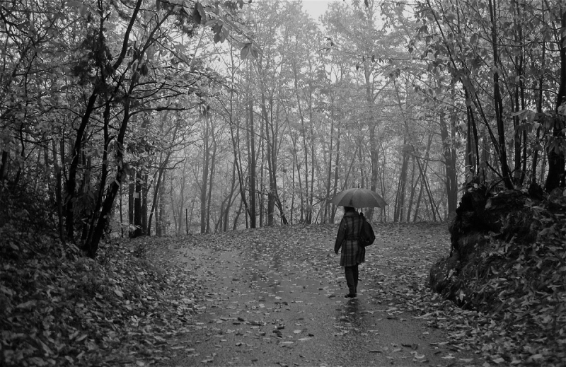 Clicca per l'immagine full size