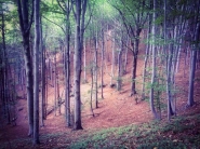 IMG_7553.jpeg