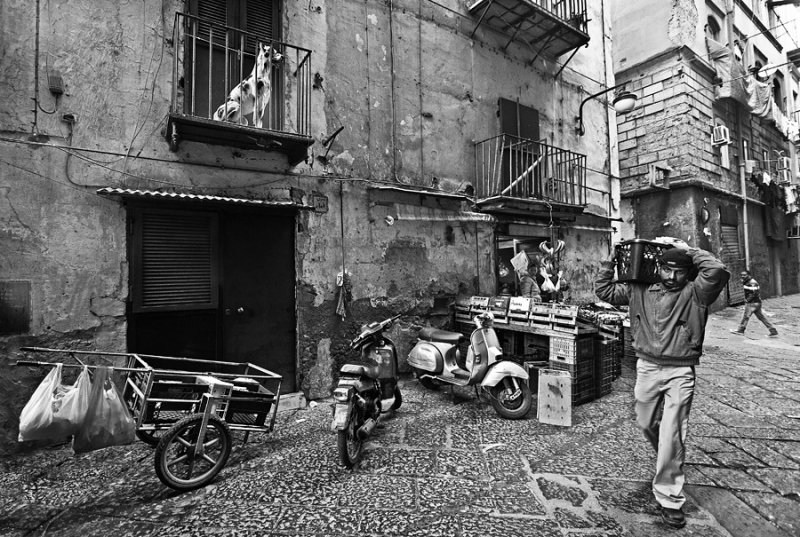 Clicca per l'immagine full size