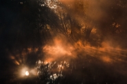 Nome File=UN_EMOZIONE_DI_LUCE.jpg
Dimensione File=280KB
Dimensioni=800x532
Data aggiunta=Ott 22, 2011 UN_EMOZIONE_DI_LUCE.jpg