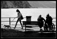 Nome File=Un_pò_di_compagnia.jpg
Dimensione File=207KB
Dimensioni=800x546
Data aggiunta=Lug 21, 2009 Un_pò_di_compagnia.jpg
