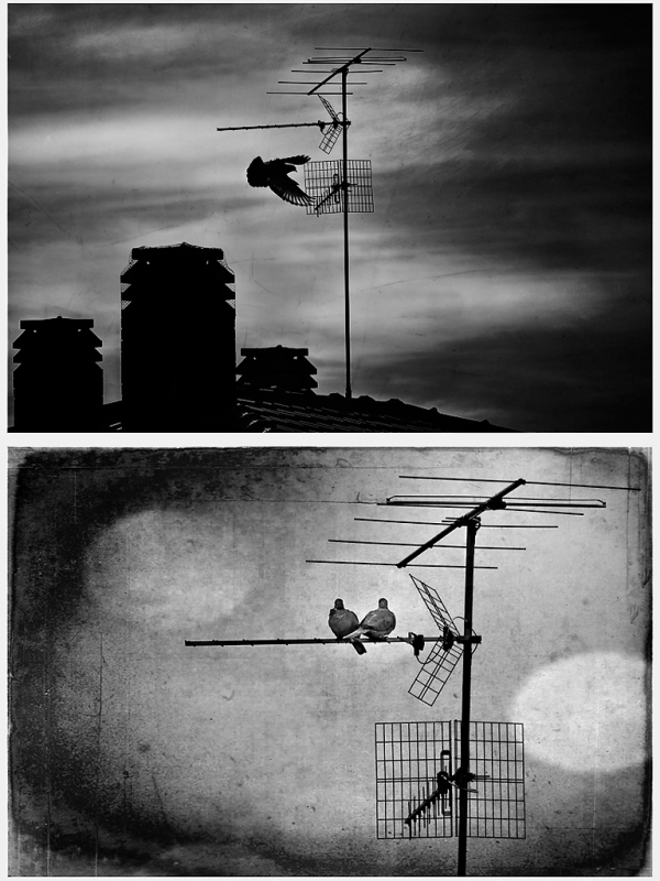 Clicca per l'immagine full size