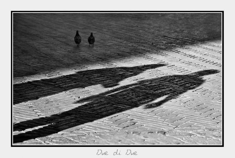 Clicca per l'immagine full size