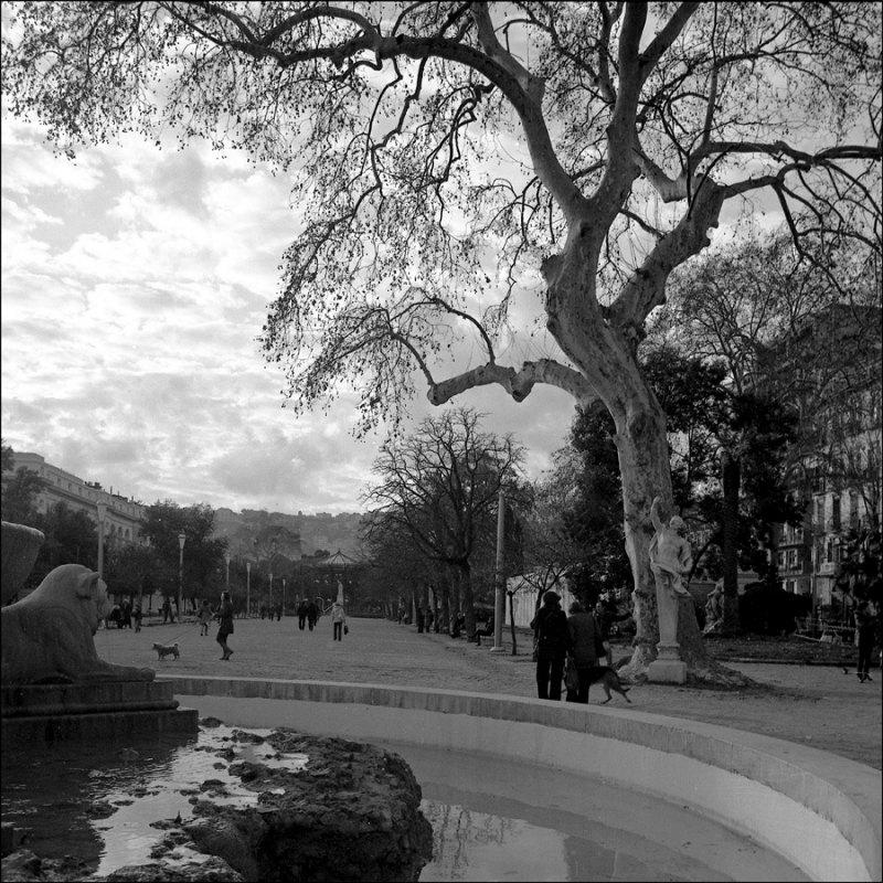Clicca per l'immagine full size