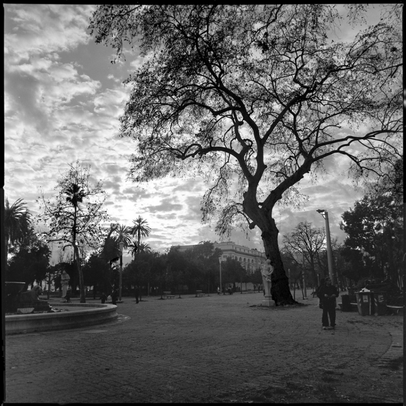 Clicca per l'immagine full size