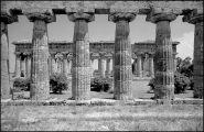 Nome File=Foto-Bn-11_Paestum-Hera.jpg
Dimensione File=351KB
Dimensioni=900x585
Data aggiunta=Mag 20, 2011 Foto-Bn-11_Paestum-Hera.jpg