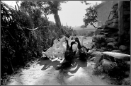 YASHICA-B-151r2.jpg YASHICA-B-151r2.jpg