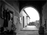 Yashica-087r.jpg Yashica-087r.jpg