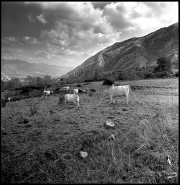 hasselblad173r4.jpg