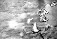 Nome File=in_caduta_libera.jpg
Dimensione File=257KB
Dimensioni=869x602
Data aggiunta=Dic 26, 2009 in_caduta_libera.jpg