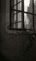 img001oek.jpg img001oek.jpg
