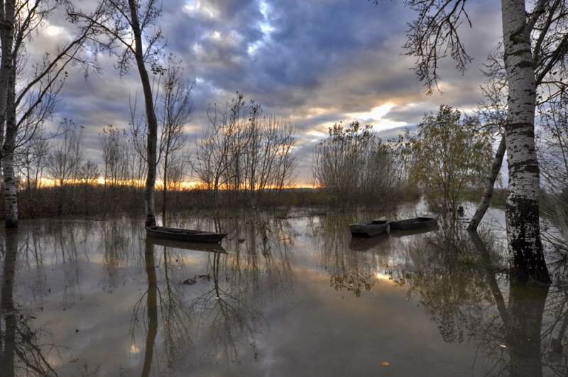 Clicca per l'immagine full size