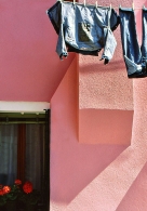 Nome File=composizione_rosa.jpg
Dimensione File=186KB
Dimensioni=558x800
Data aggiunta=Mar 25, 2009 composizione_rosa.jpg