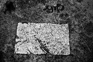 Nome File=dipetrolienientepiù(17).jpg
Dimensione File=396KB
Dimensioni=801x536
Data aggiunta=Gen 30, 2011 dipetrolienientepiù(17).jpg