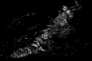 Nome File=divolontà esolitudini(55).jpg
Dimensione File=169KB
Dimensioni=801x534
Data aggiunta=Set 06, 2011 divolontà esolitudini(55).jpg