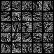 Nome File=legaranziedellimperfetto(yamabushi).jpg
Dimensione File=524KB
Dimensioni=1024x1024
Data aggiunta=Gen 20, 2013 legaranziedellimperfetto(yamabushi).jpg