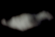 posthuman(2).jpg
