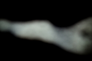 posthuman(8).jpg