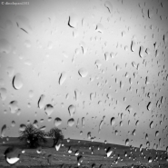 raining_day.jpg raining_day.jpg