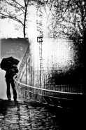 Nome File=my_rain.jpg
Dimensione File=342KB
Dimensioni=599x900
Data aggiunta=Gen 03, 2011 my_rain.jpg