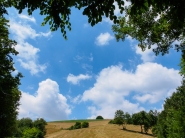 Nome File=Signori_e_signore_si_va_in_scena.jpg
Dimensione File=280KB
Dimensioni=1000x750
Data aggiunta=Giu 30, 2015 Signori_e_signore_si_va_in_scena.jpg