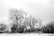 Nome File=freddo-silenzio-invernale.jpg
Dimensione File=150KB
Dimensioni=1000x668
Data aggiunta=Dic 02, 2012 freddo-silenzio-invernale.jpg