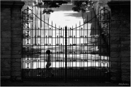 Nome File=liberi-dentro-web.jpg
Dimensione File=240KB
Dimensioni=800x534
Data aggiunta=Giu 12, 2010 liberi-dentro-web.jpg