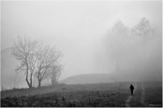 Nome File=passeggiata-nella-nebbia-web.jpg
Dimensione File=111KB
Dimensioni=800x534
Data aggiunta=Gen 11, 2012 passeggiata-nella-nebbia-web.jpg