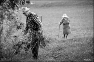 Nome File=rural-moment-web.jpg
Dimensione File=247KB
Dimensioni=800x531
Data aggiunta=Ott 27, 2009 rural-moment-web.jpg