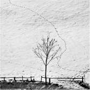 Nome File=the-road-to-you.jpg
Dimensione File=100KB
Dimensioni=750x750
Data aggiunta=Feb 11, 2012 the-road-to-you.jpg