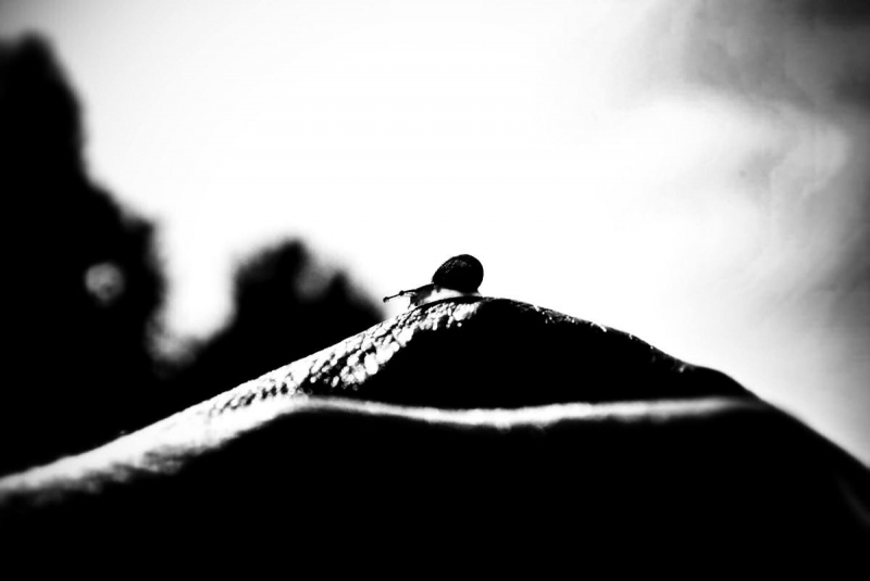 Clicca per l'immagine full size