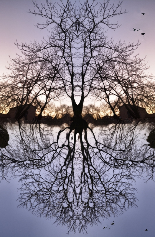 Clicca per l'immagine full size
