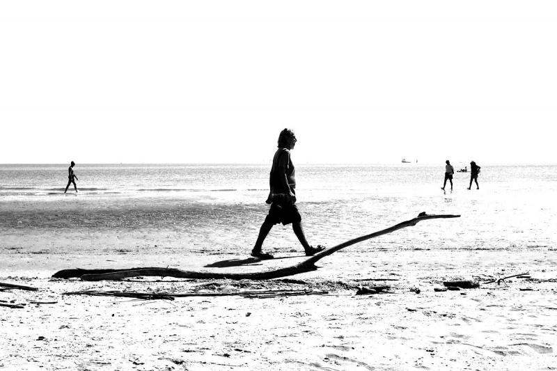 Clicca per l'immagine full size