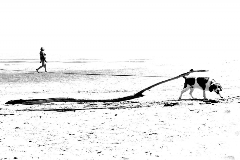 Clicca per l'immagine full size