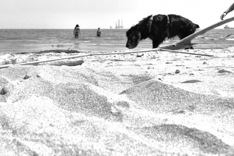 Clicca per l'immagine full size