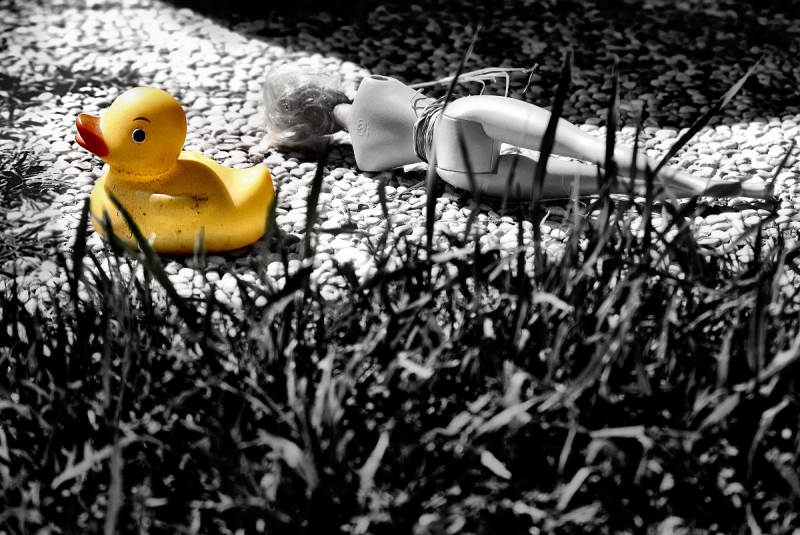 Clicca per l'immagine full size