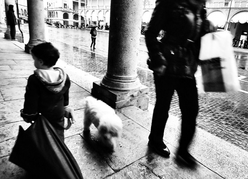 Clicca per l'immagine full size