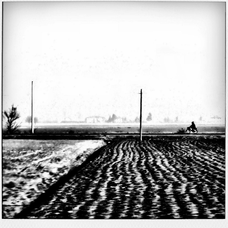 Clicca per l'immagine full size
