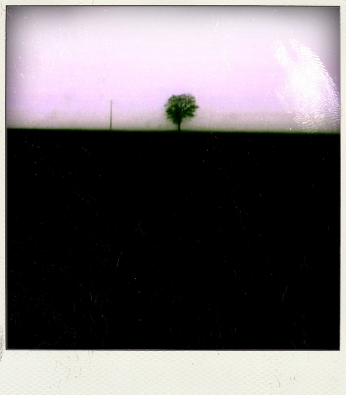 Clicca per l'immagine full size