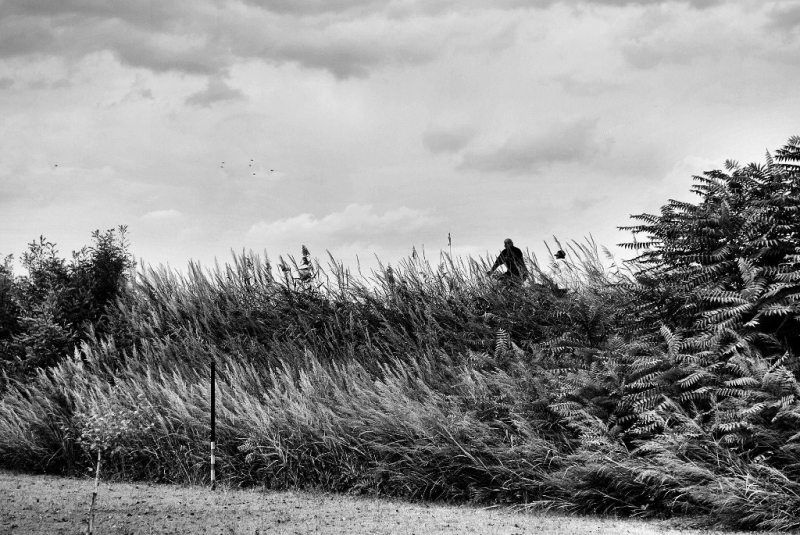 Clicca per l'immagine full size