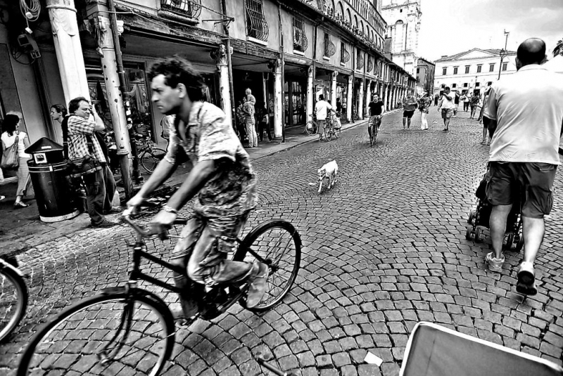 Clicca per l'immagine full size