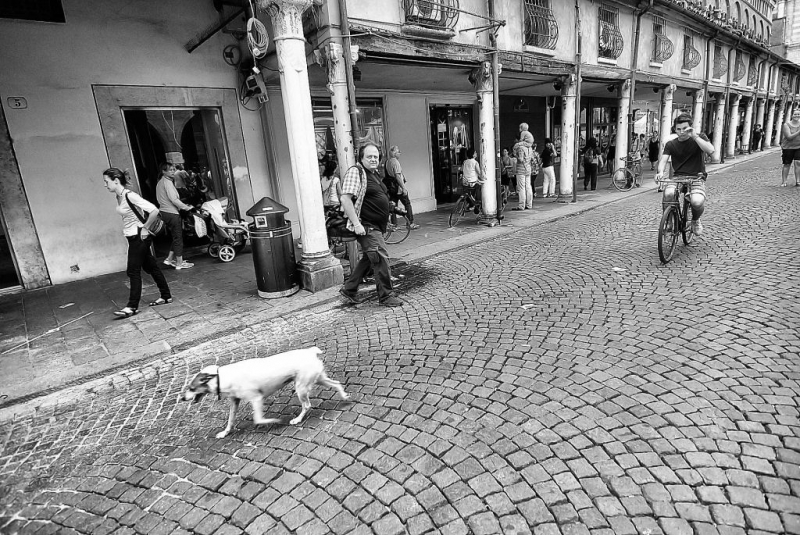 Clicca per l'immagine full size