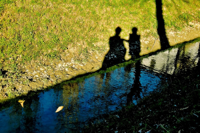 Clicca per l'immagine full size