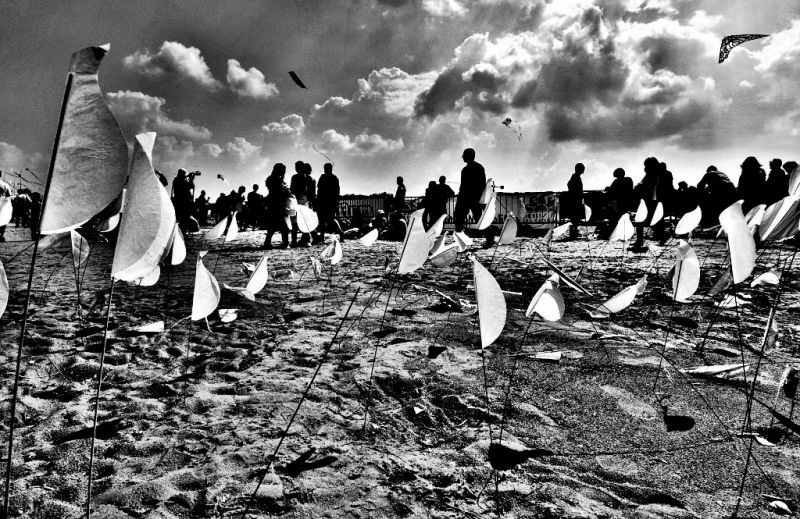 Clicca per l'immagine full size