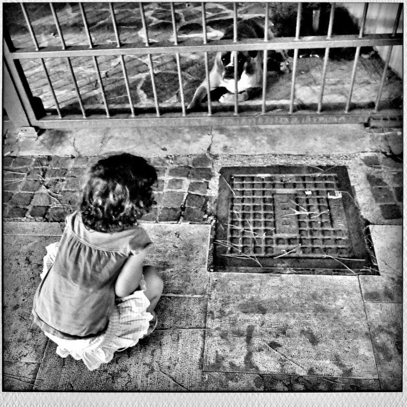 Clicca per l'immagine full size