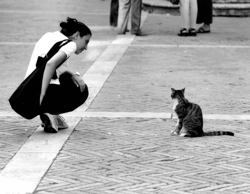 Clicca per l'immagine full size