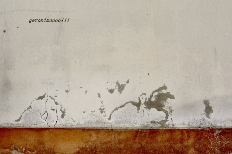Clicca per l'immagine full size