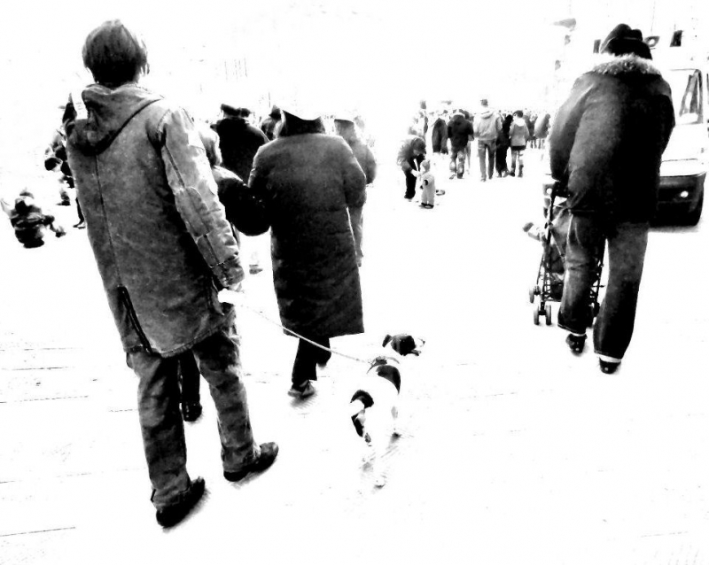 Clicca per l'immagine full size