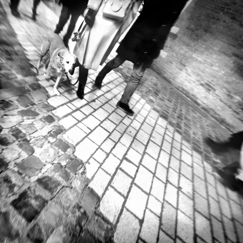 Clicca per l'immagine full size